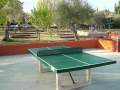 PING PONG