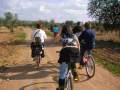 EXCURSIONES EN BICICLETA