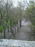 Arroyo Gargüera en la finca